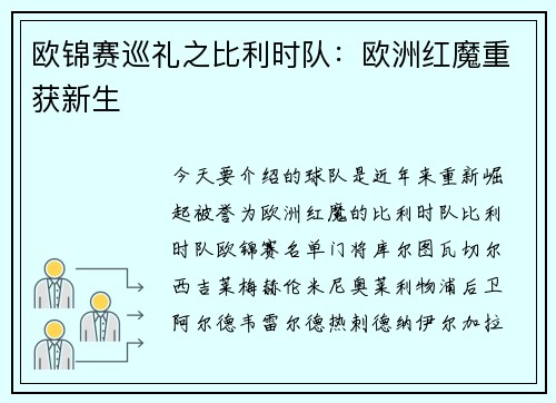 欧锦赛巡礼之比利时队：欧洲红魔重获新生